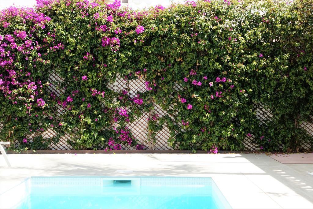 Casa Molinar Villa Palma de Mallorca Bagian luar foto